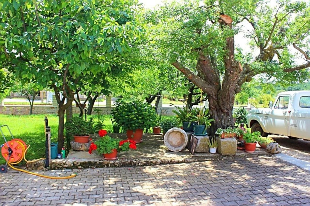 Apartamento Palmira Poreč Exterior foto